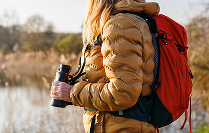 Observation de la biodiversité