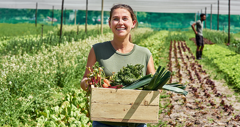 Restauration locale et circuits courts